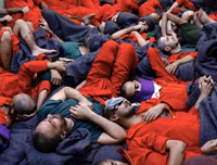 Lực lượng người Kurd 