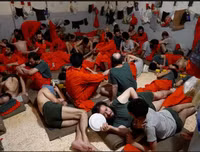 Lực lượng người Kurd 