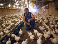 Nếu xảy ra đại dịch, thế giới có thể mất đi 33 triệu người chỉ trong 6 tháng