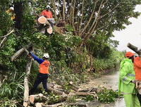 [Ảnh] Người Mỹ hối hả trong guồng quay chống đỡ siêu bão Dorian