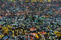 [ẢNH] Cận cảnh những 