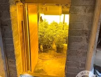 Phát hiện trang trại trồng cần sa bí mật ngay dưới nền nhà hát cũ ở London