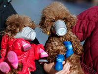 Những ý tưởng ‘thời trang bá đạo’ phòng chống virus Covid-19