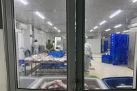 Vạch mặt những phù thủy “chế biến” thịt trâu giá rẻ thành thịt bò thượng hạng