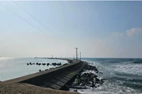 Danh tính 8 lao động Việt Nam gặp nạn tại Nhật Bản