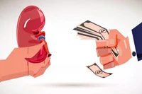 Không thực hiện ghép mô, tạng nếu nghi vấn liên quan đến việc môi giới, mua bán trái phép