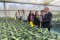 Hai điểm sáng của phong trào xây dựng nông thôn mới ở Hà Nội