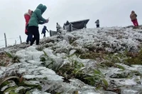 Yêu cầu các tỉnh miền Bắc chủ động ứng phó với rét đậm 