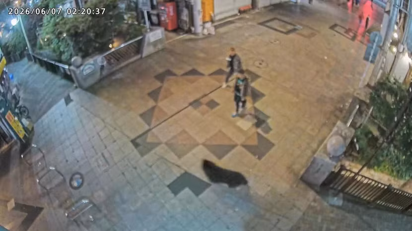 1000043054.jpg