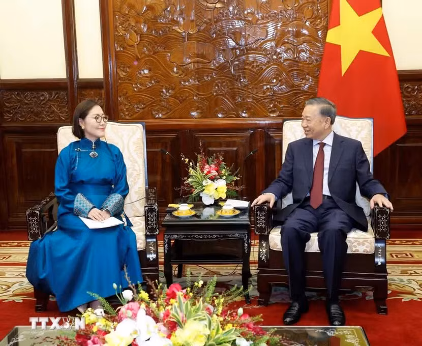 Tổng Bí thư, Chủ tịch nước Tô Lâm tiếp Đại sứ Mông Cổ Hulan Ganbaatar. (Ảnh: Thống Nhất/TTXVN)