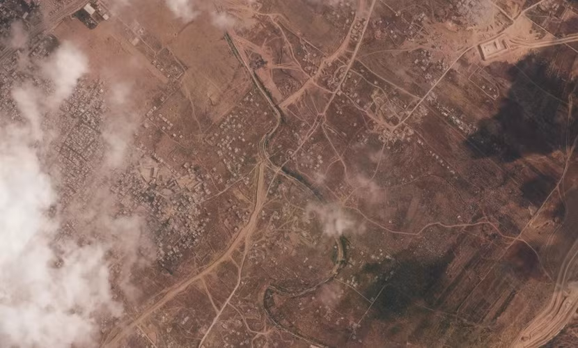 1000046050.jpg