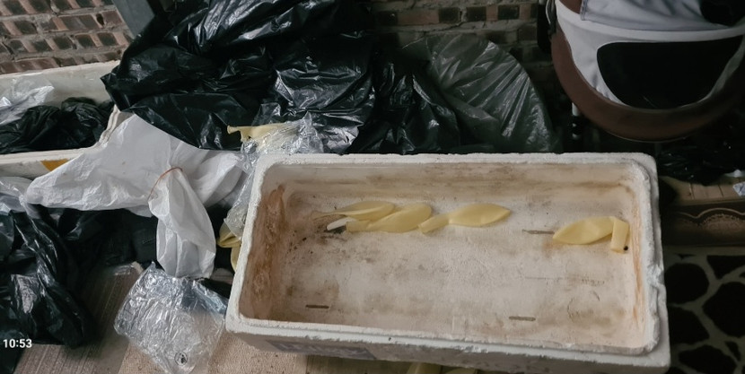 Vỏ hộp chuyện đựng cá hồi này... Chứa đủ 2 bình khí khi vận chuyển