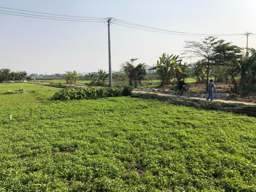 Khu đất thuộc phạm vi Dự án