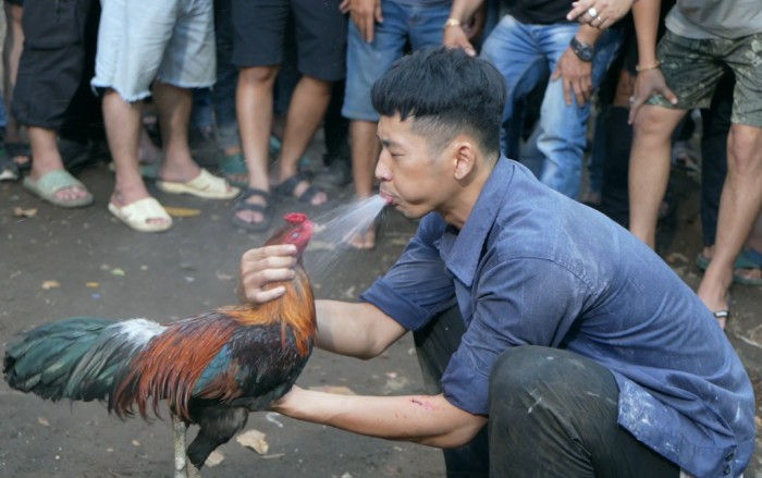 Tuấn Trần vào vai "chiến thần đá gà" rất mượt trong phim "Làm giàu với ma"