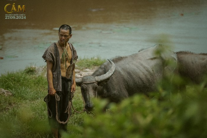 Một Bờm bụi bặm, ngông nghênh của "Cám"