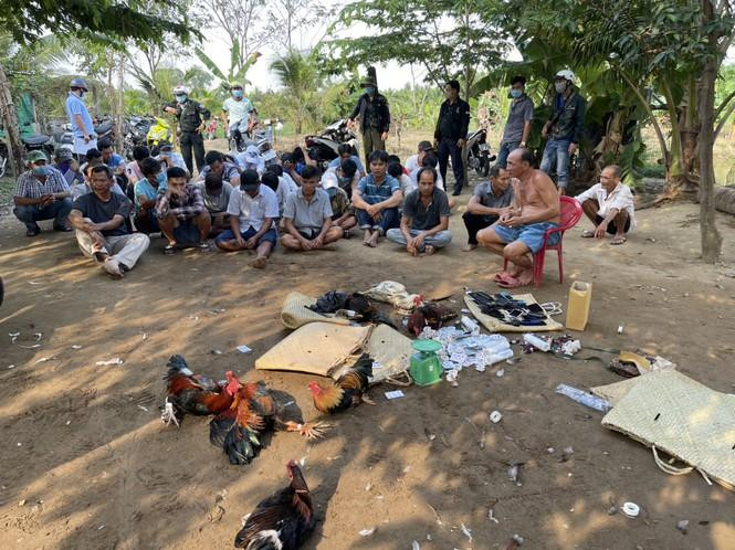 Nhóm người tham gia đá gà ở huyện Châu Thành, bị cảnh sát bắt quả tang