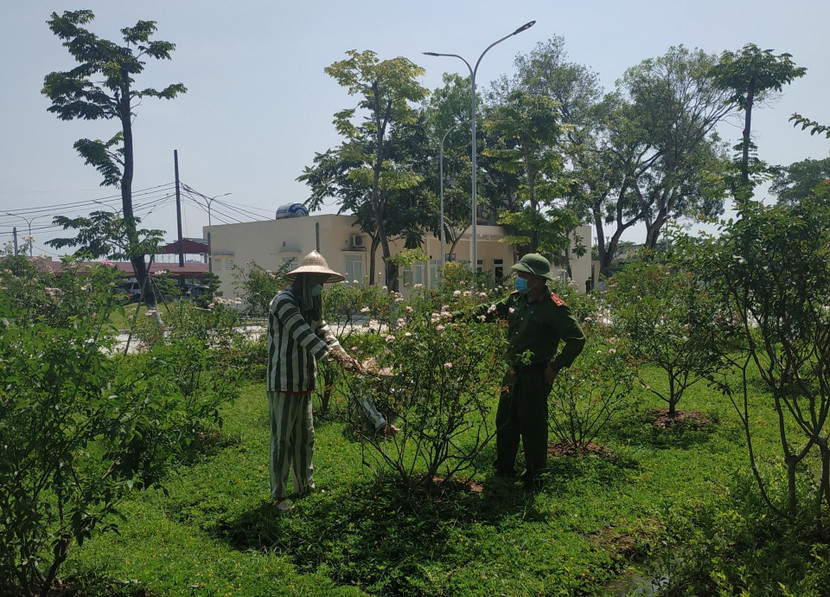 Chăm sóc cây xanh trong khuôn viên Trại Chăm sóc cây xanh trong khuôn viên Trại