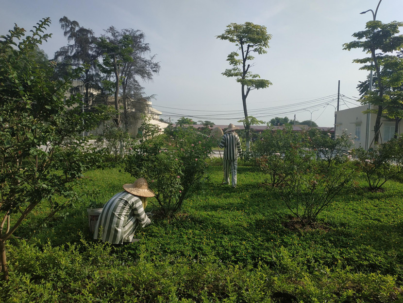 Từng phạm nhân đều được giáo dục, nhận thức giá trị của cây xanh đối với môi trường Từng phạm nhân đều được giáo dục, nhận thức giá trị của cây xanh đối với môi trường