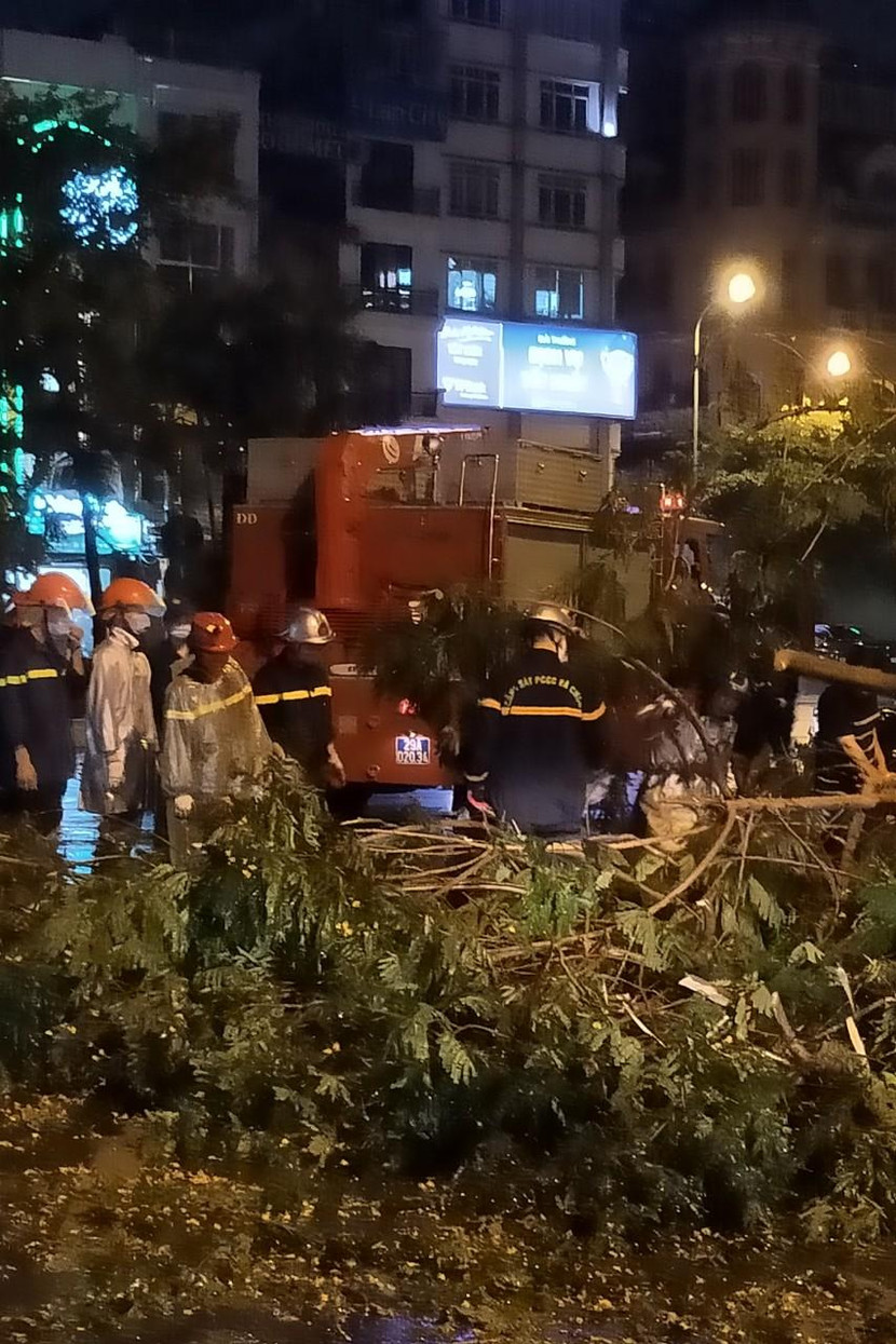 Lực lượng cứu hộ, cứu nạn nhanh chóng đến hiện trường vụ cây đổ