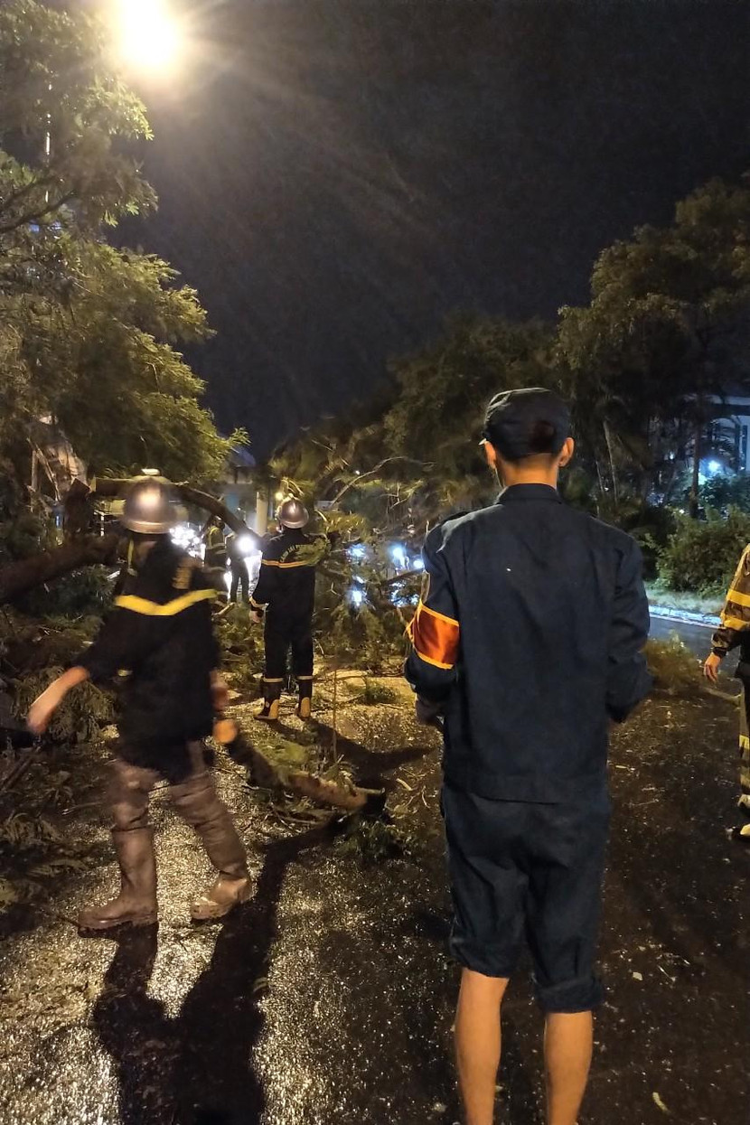 Quận Đống Đa không ghi nhận trường hợp thương vong do cây đổ, ngập lụt