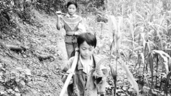 Xóm cờ bạc ở Khe Tử ảnh 1