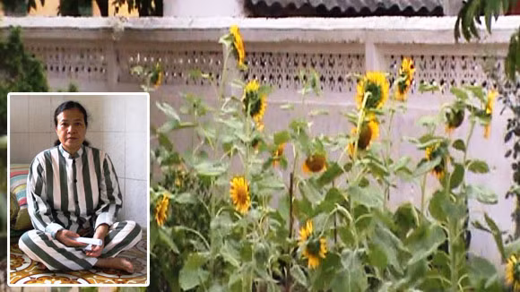 Đã hết thời “oanh liệt” ảnh 1