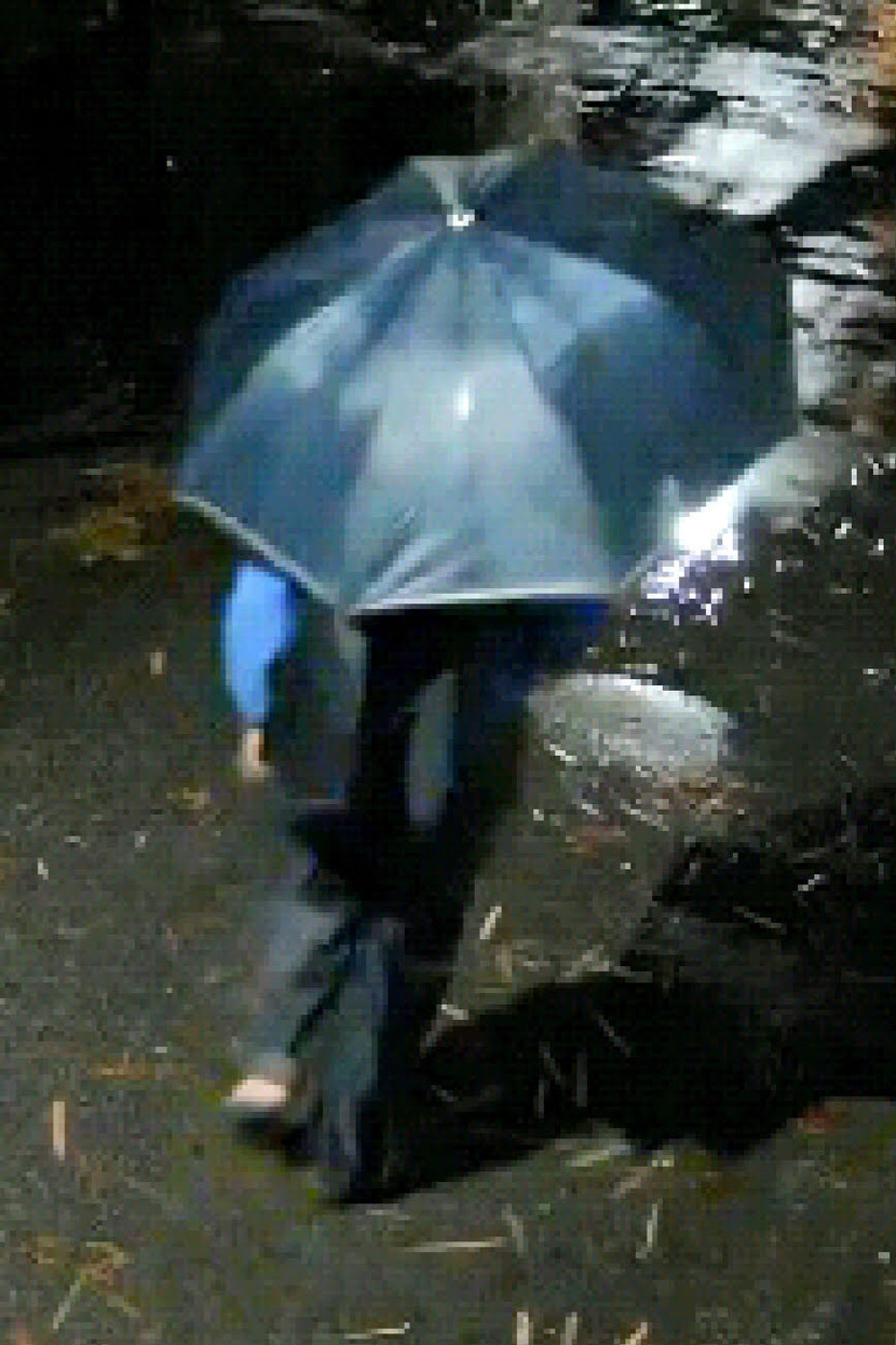 Bước đi trong đêm Kiểu đi hai chân