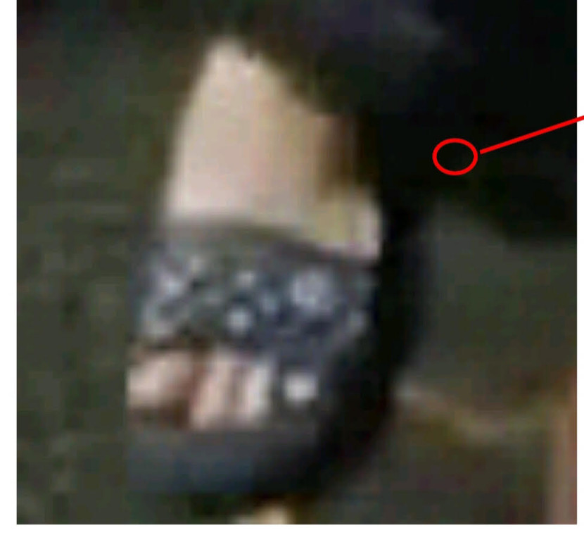 Dấu vết bàn chân