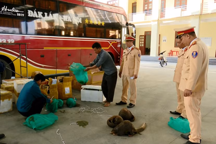 CSGT tấn công trấn áp các hoạt động vi phạm Luật giao thông, tội phạm lợi dụng tuyến giao thông để hoạt động