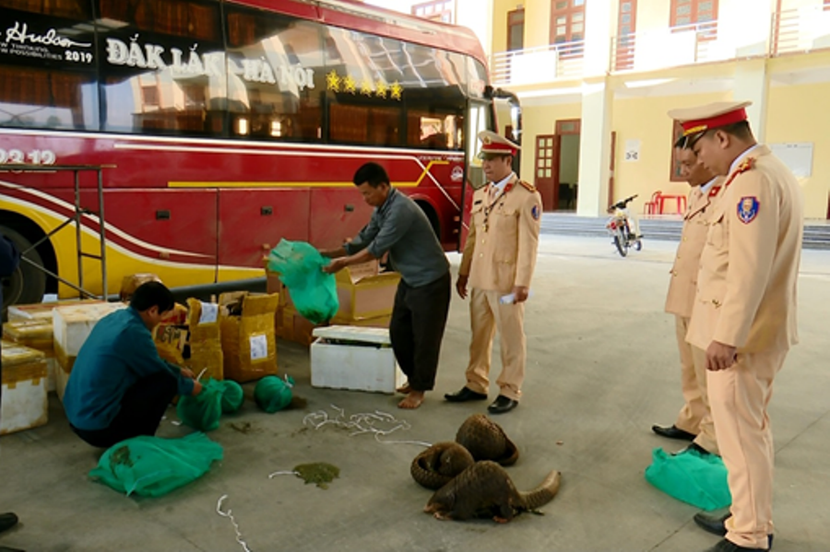 Lực lượng chức năng phát hiện số hàng lậu cất giấu vận chuyển trên xe khách Lực lượng chức năng phát hiện số hàng lậu cất giấu vận chuyển trên xe khách