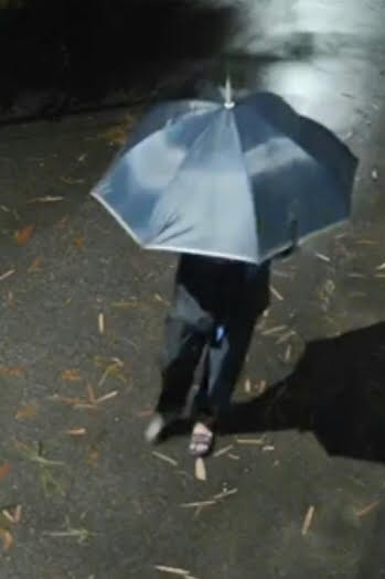 Đối tượng cầm ô che