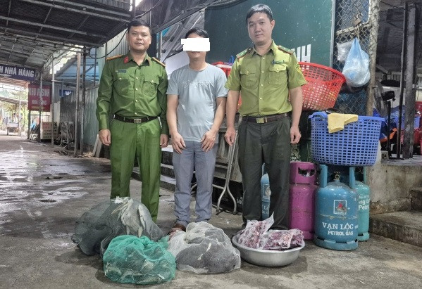 Lực lượng chức năng phát hiện nhiều cá thể chim tại nhà hàng "Lê Quý - Chim to dần" Lực lượng chức năng phát hiện nhiều cá thể chim tại nhà hàng "Lê Quý - Chim to dần"