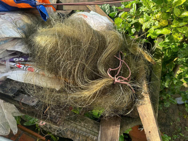 Bẫy bắt chim tại một cơ sở bị lực lượng chức năng thu giữ Bẫy bắt chim tại một cơ sở bị lực lượng chức năng thu giữ