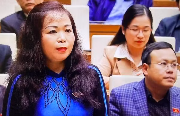 Đại biểu Vũ Thị Lưu Mai (đoàn Hà Nội) phát biểu thảo luận Đại biểu Vũ Thị Lưu Mai (đoàn Hà Nội) phát biểu thảo luận