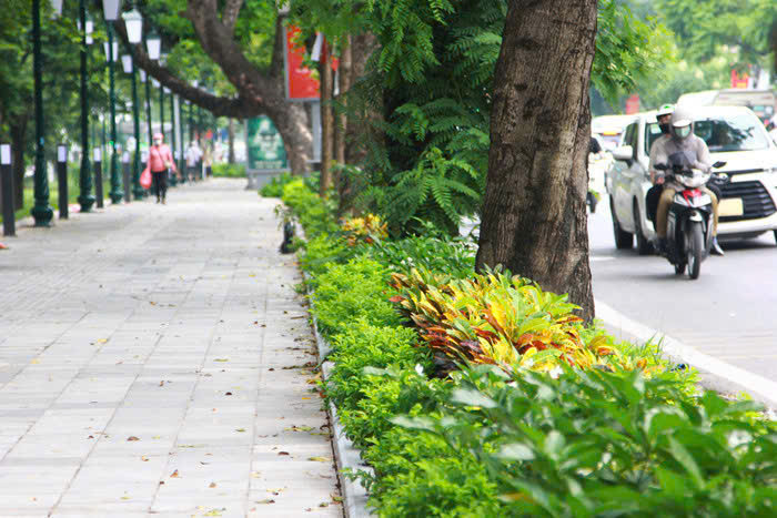 Việc bỏ hàng rào xung quanh các công viên tạo cảnh quan đẹp, thông thoáng Việc bỏ hàng rào xung quanh các công viên tạo cảnh quan đẹp, thông thoáng