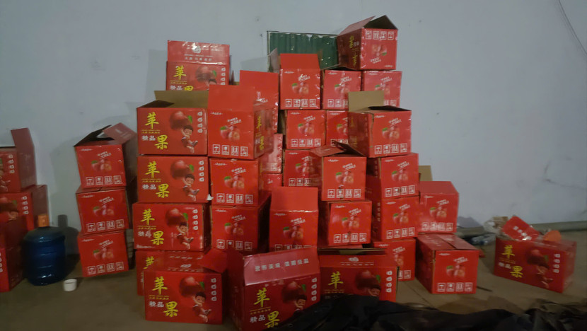 Một phần tang vật bị thu giữ