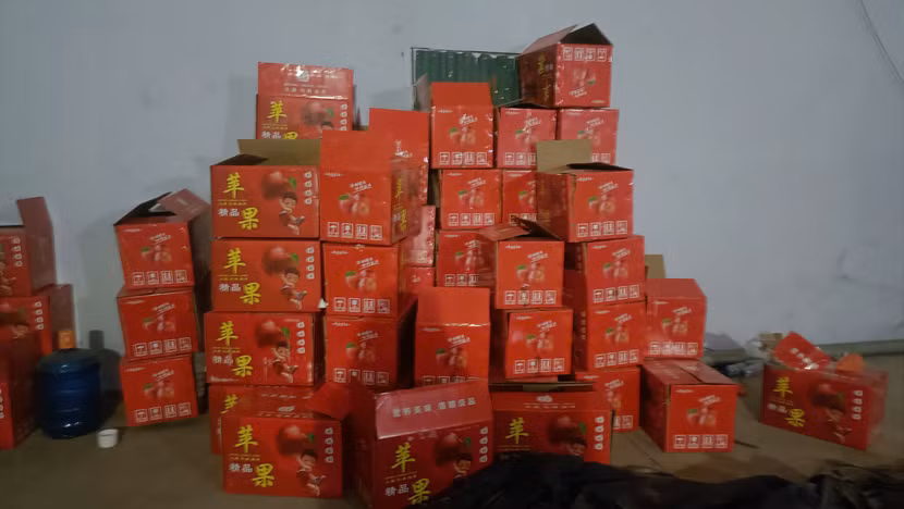 Một phần tang vật bị thu giữ