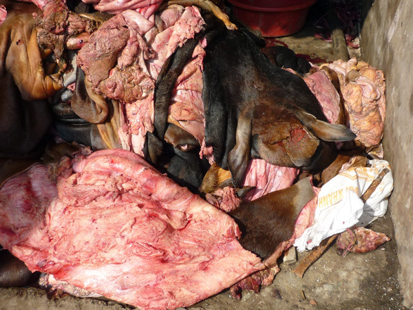 Rợn người nhìn thực phẩm "vó bò" hôi thối ảnh 8