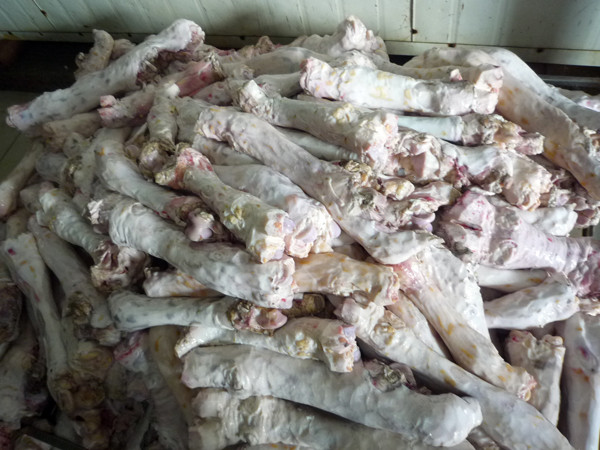 Rợn người nhìn thực phẩm "vó bò" hôi thối ảnh 5