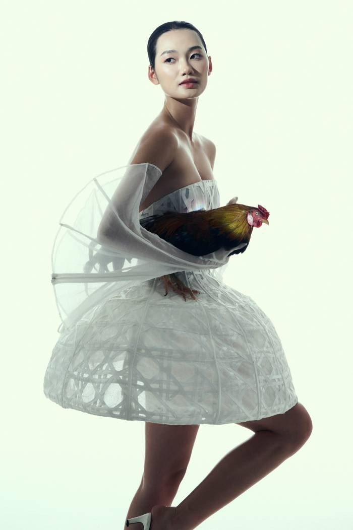 Quỳnh Anh diện một chiếc váy trắng được dựng phom phá cách từ lồng gà, kết hợp cùng sự xuất hiện của một chú gà trống Quỳnh Anh diện một chiếc váy trắng được dựng phom phá cách từ lồng gà, kết hợp cùng sự xuất hiện của một chú gà trống