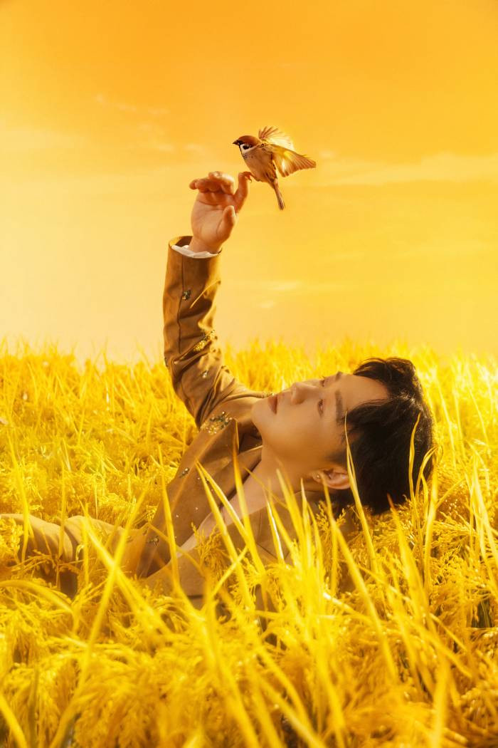 MV &quot;Hạt ngọc trắng&quot; được thực hiện bằng ngôn ngữ hình ảnh tối giản với những hình ảnh quen thuộc cờ đỏ sao vàng, cánh đồng lúa