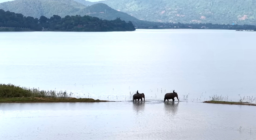 Voi được coi như một người thân trong gia đình ở Tây Nguyên Voi được coi như một người thân trong gia đình ở Tây Nguyên