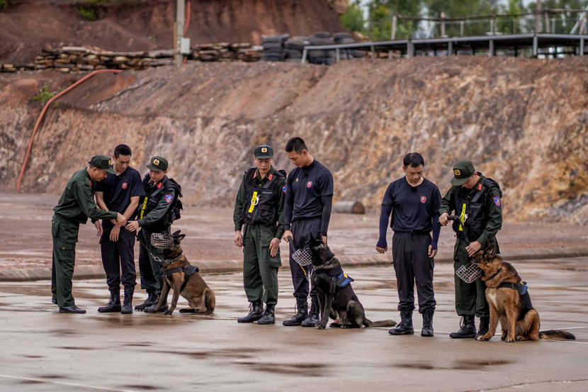 Dàn "Chiến sĩ quả cảm" làm quen với các "đồng đội bốn chân" Dàn "Chiến sĩ quả cảm" làm quen với các "đồng đội bốn chân"