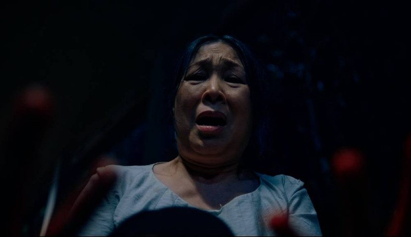 NSND Hồng Vân lần đầu đóng phim cùng Tiến Luật