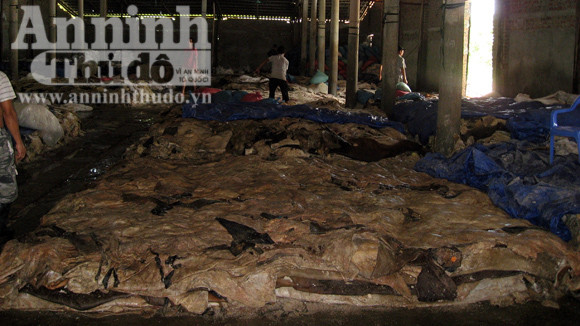 Toàn nhà xưởng tỏa ra thứ mùi khó chịu