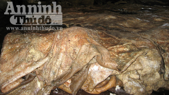 Sơ chế da trâu bò phát sinh nhiều nước thải hôi thối, không được xử lý đúng quy trình