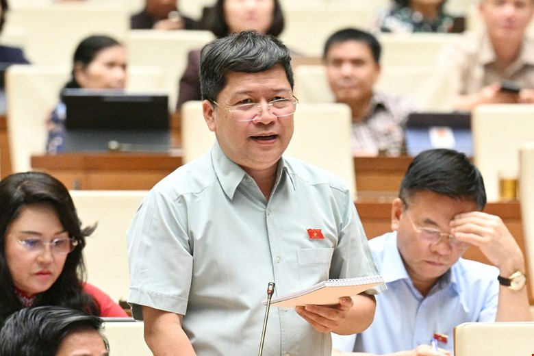 Đại biểu Tạ Văn Hạ (đoàn Quảng Nam) phát biểu