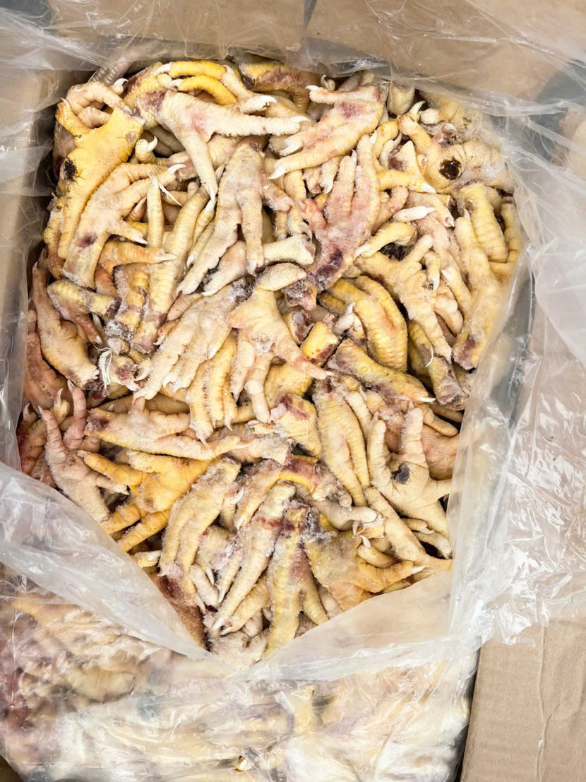 Số chân gà chuẩn bị xuất khẩu Số chân gà chuẩn bị xuất khẩu