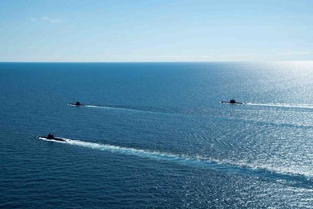 Cận cảnh cuộc diễn tập