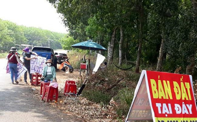 Bộ Tài chính yêu cầu quản lý chặt thuế hoạt động kinh doanh, chuyển nhượng bất động sản Bộ Tài chính yêu cầu quản lý chặt thuế hoạt động kinh doanh, chuyển nhượng bất động sản